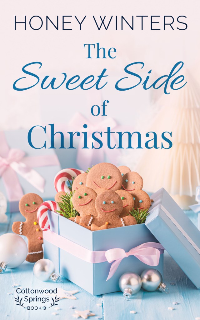 Book Cover for The Sweet Side of Christmas by Honey WInters