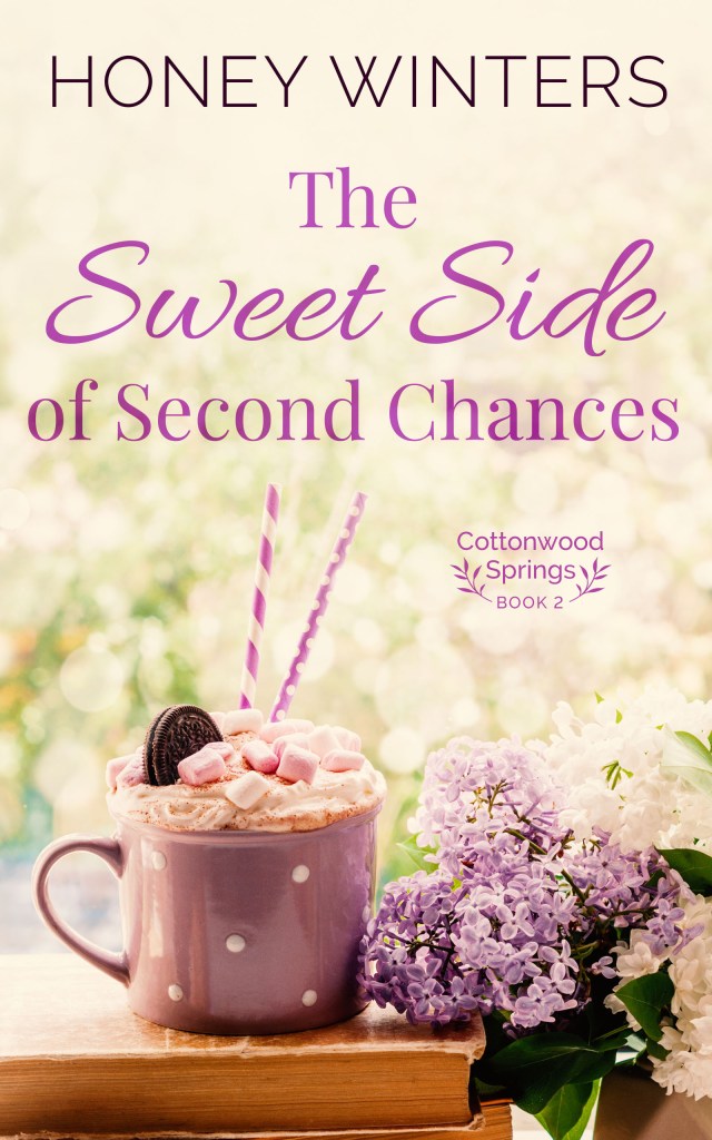 Book Cover for the Sweet Side of Second Chances by Honey Winters